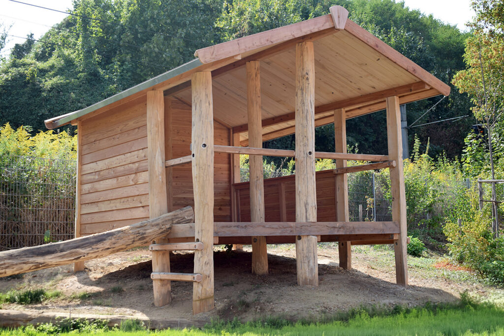 Ein kleines Pfahlhaus Groß aus Holz mit offenen Seiten steht auf Stelzen. Der Zugang erfolgt über zwei Holzstufen und einen schrägen Stamm. Umgeben von Grün, Bäumen und einem Drahtzaun steht es auf einem erhöhten Erdhügel in einem natürlichen Außenbereich.
